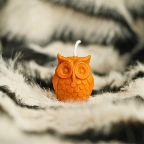 Harvest Owl Candle